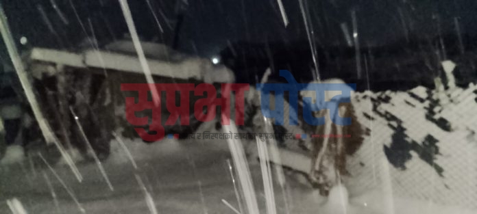 458d4f9b-8564-4cc2-a247-05f3a0269df1