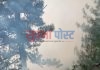 ओग्ख्रेना सामुदायिक वन क्षेत्रमा मंगलबार राति ८ बजेदेखि आगलागी, ४ सय पचास हेक्टर वन मध्य करिव २ सय हेक्टर वन पुर्णरुपमा नष्ट