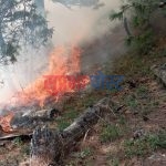 ओग्ख्रेना सामुदायिक वन क्षेत्रमा मंगलबार राति ८ बजेदेखि आगलागी, ४ सय पचास हेक्टर वन मध्य करिव २ सय हेक्टर वन पुर्णरुपमा नष्ट