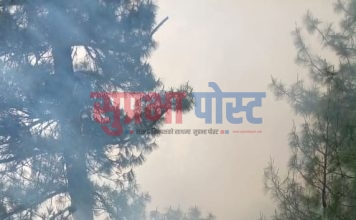 ओग्ख्रेना सामुदायिक वन क्षेत्रमा मंगलबार राति ८ बजेदेखि आगलागी, ४ सय पचास हेक्टर वन मध्य करिव २ सय हेक्टर वन पुर्णरुपमा नष्ट